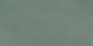 Ergon Pigmento Verde Salvia 60x120