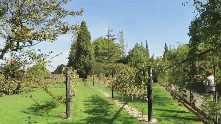 Jose  Maria da Fonseca Winery