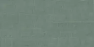 ERGON ELSL Pigmento Cardboard Verde Salvia Siltech 60X120