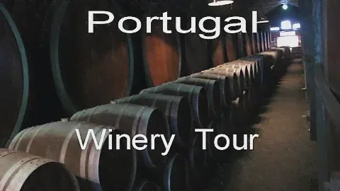 José Maria da Fonseca Winery tour, Azeitão, Portugal - LVBO Travel Videos