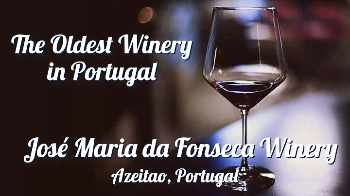 Jose Maria Da Fonseca Winery: Azeitao, Portugal